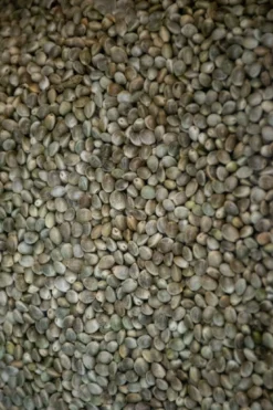 Hennep 10kg -Visuitrusting Winkel hengelsportlauwe hennep 10kg 2