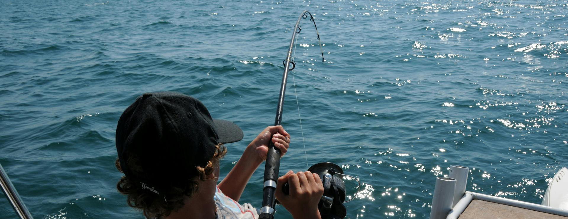 Visuitrusting Winkel 1 Visuitrusting Winkel -Visuitrusting Winkel pexels willmac 3793366